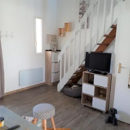 Maison Meschers-sur-gironde, 3 Pieces, 4 Personnes - Fr-1-305-1433